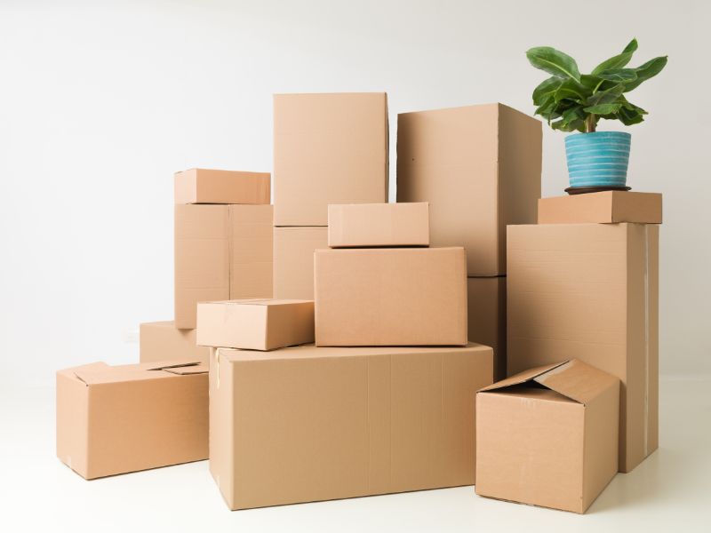 Home Organizer vs. Moving Packer: What’s the Difference?